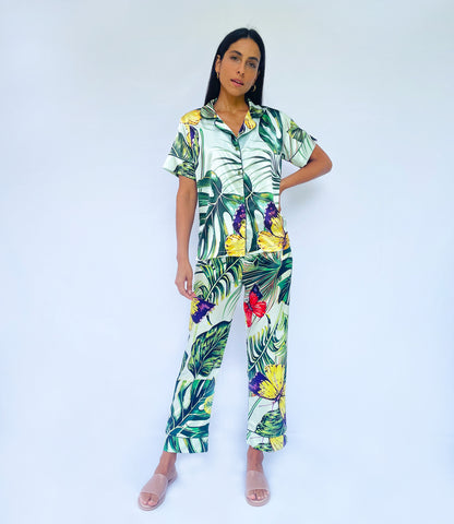 Amazonian leaves and butterflies